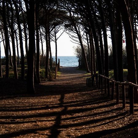 Appartamento Il Bucaniere A Marina Di Cecina Extérieur photo