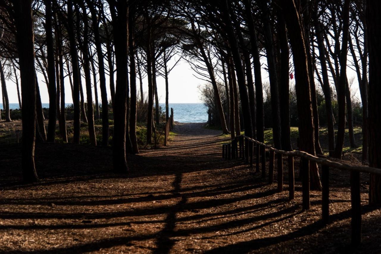Appartamento Il Bucaniere A Marina Di Cecina Extérieur photo