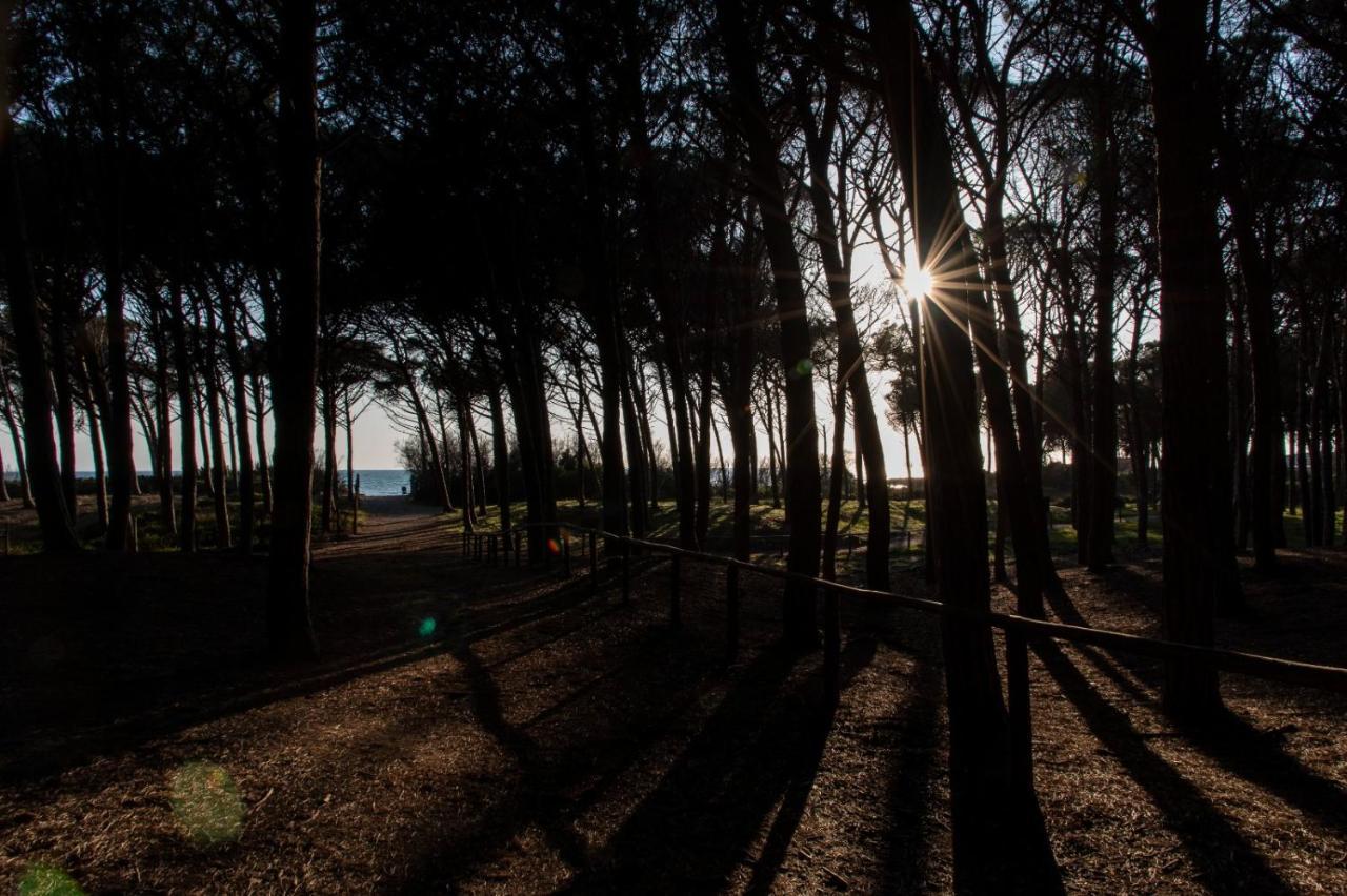 Appartamento Il Bucaniere A Marina Di Cecina Extérieur photo